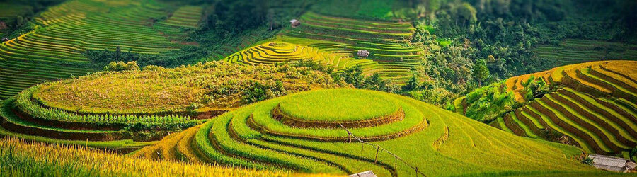 The charms of Nghia Lo, Yen Bai, Vietnam